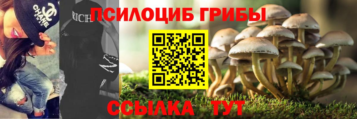 Псилоцибиновые грибы Magic Shrooms  даркнет сайт  Дзержинский  Вход с VPN 